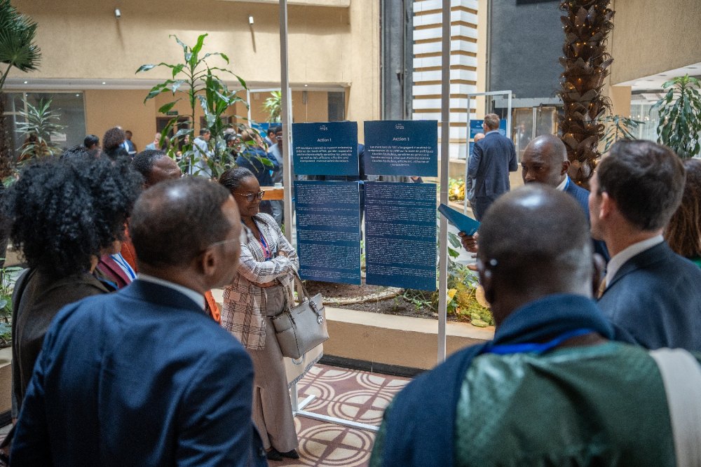 Delegates reading the programme board between sessions
