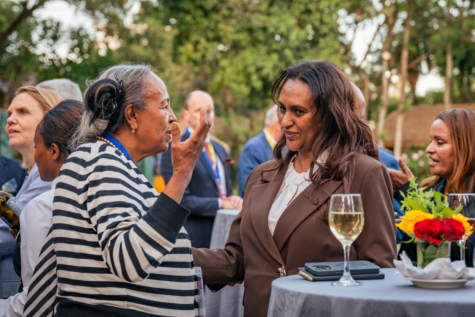 Guests in conversation over dinner