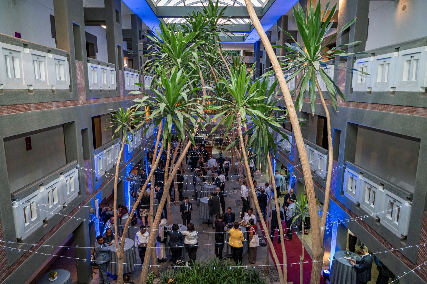 The atrium from the mezzanine