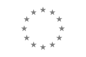 European Union Delegation to the African Union